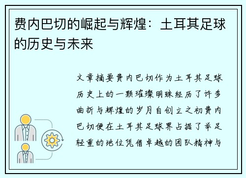 费内巴切的崛起与辉煌：土耳其足球的历史与未来