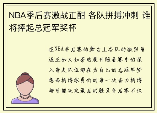 NBA季后赛激战正酣 各队拼搏冲刺 谁将捧起总冠军奖杯